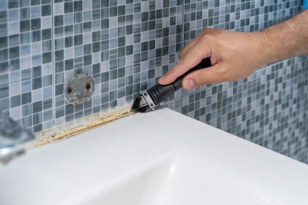 Best Mold Remediation  in Fort Thompson, SD