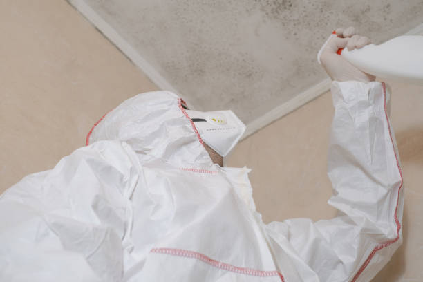 Best Toxic Mold Removal  in Fort Thompson, SD