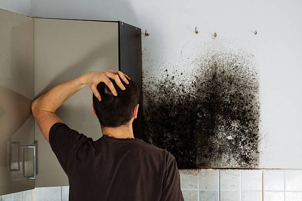 Best Water Damage Restoration  in Fort Thompson, SD