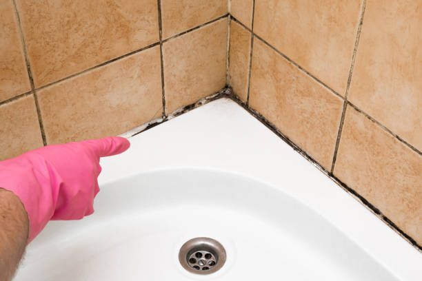 Best Mold Testing  in Fort Thompson, SD